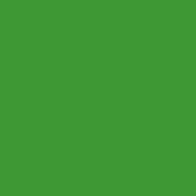 Dekaprint Siebdruckfarbe 250ml saftgrün