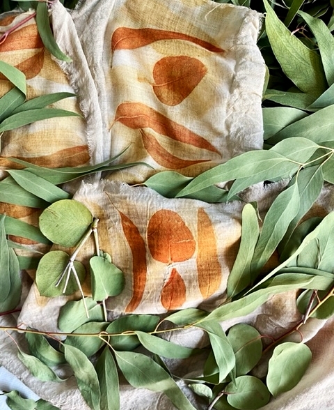 Eukalyptuslaub, erwachsene Blattformen, Paket 50 Stück