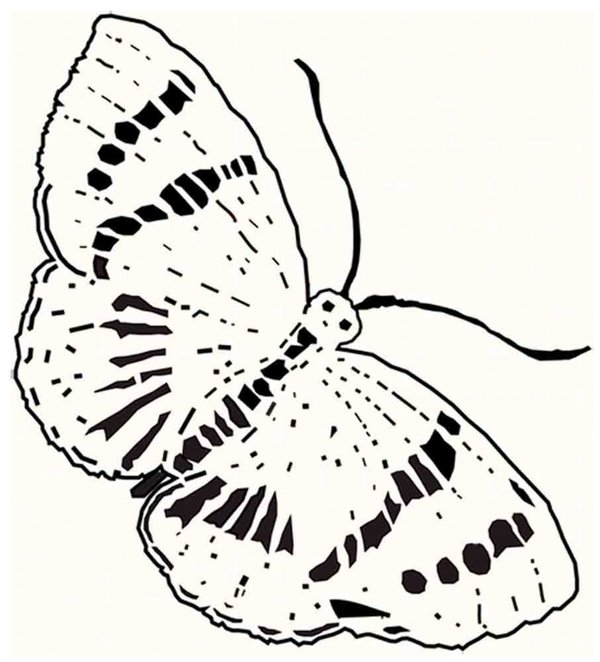 Siebdruckschablone R2 Schmetterling